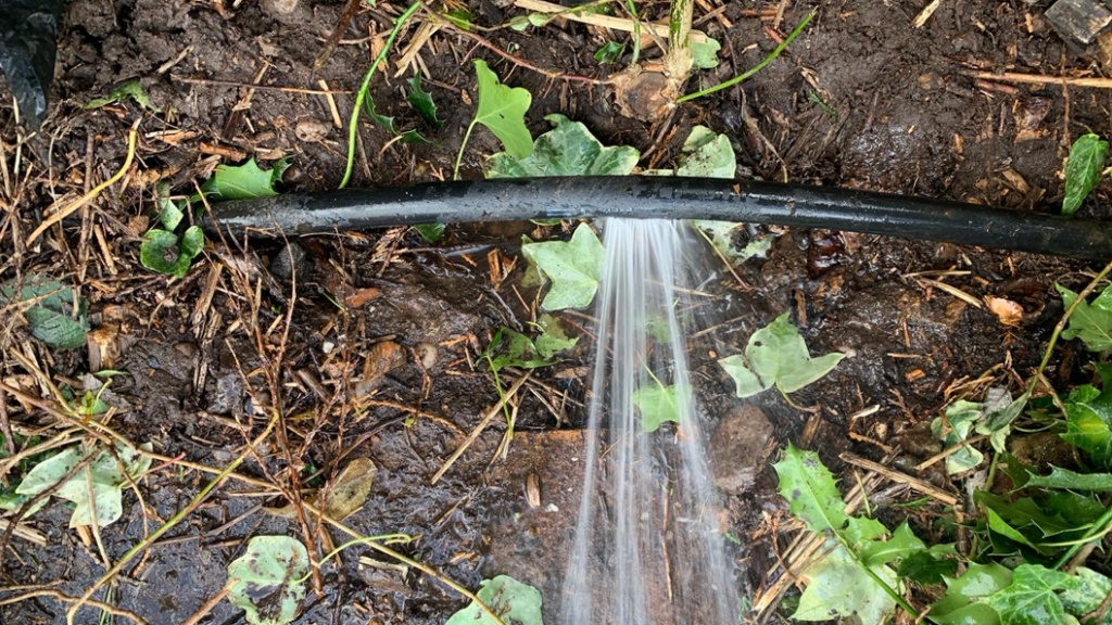 A 80mm longitudinal split in a plastic pond supply hose prior to undergoing repair using a SylWrap Pipe Repair Kit