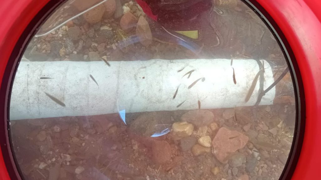 Underwater gas pipe given protection by SylWrap HD Pipe Repair Bandage after becoming exposed within a Scottish river by scour