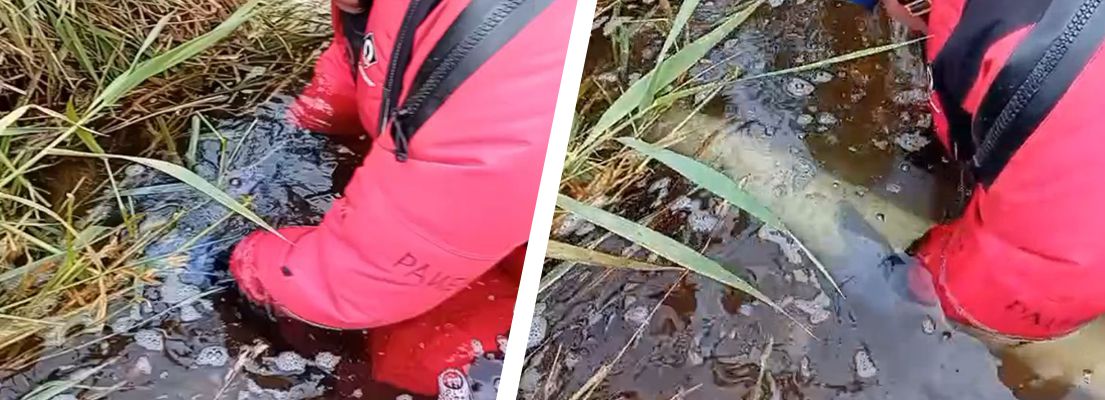 SylWrap HD Pipe Repair Bandage applied to an underwater gas pipe as part of a protection programme for pipelines exposed by riverbed scour